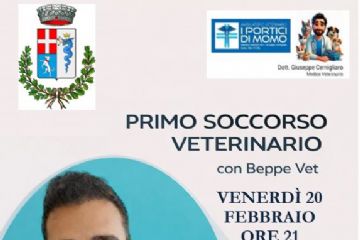 Primo soccorso veterinario