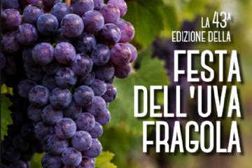 Festa dell'Uva Fragola